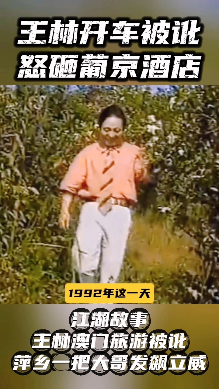 气功大师王林故事