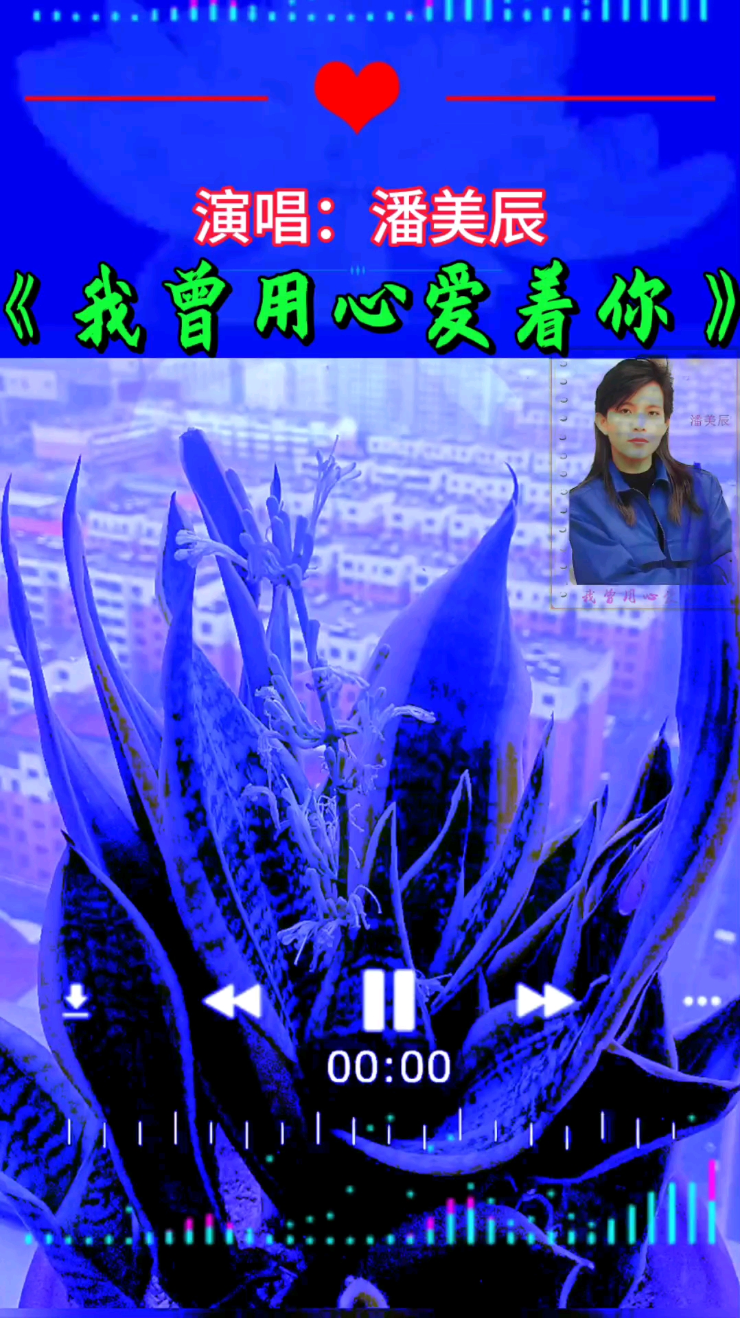 《我曾用心爱着你》潘美辰经典歌曲,敬请欣赏