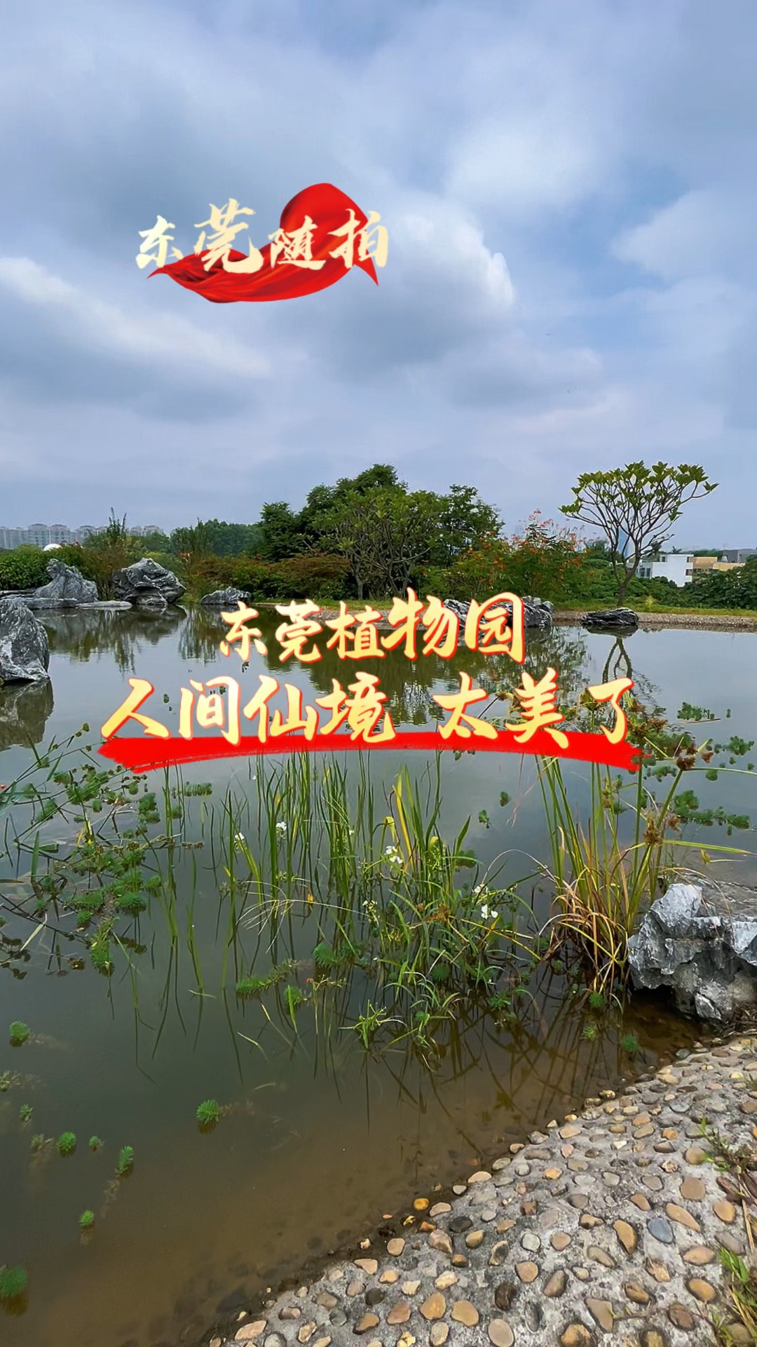 东莞植物园一日游图片