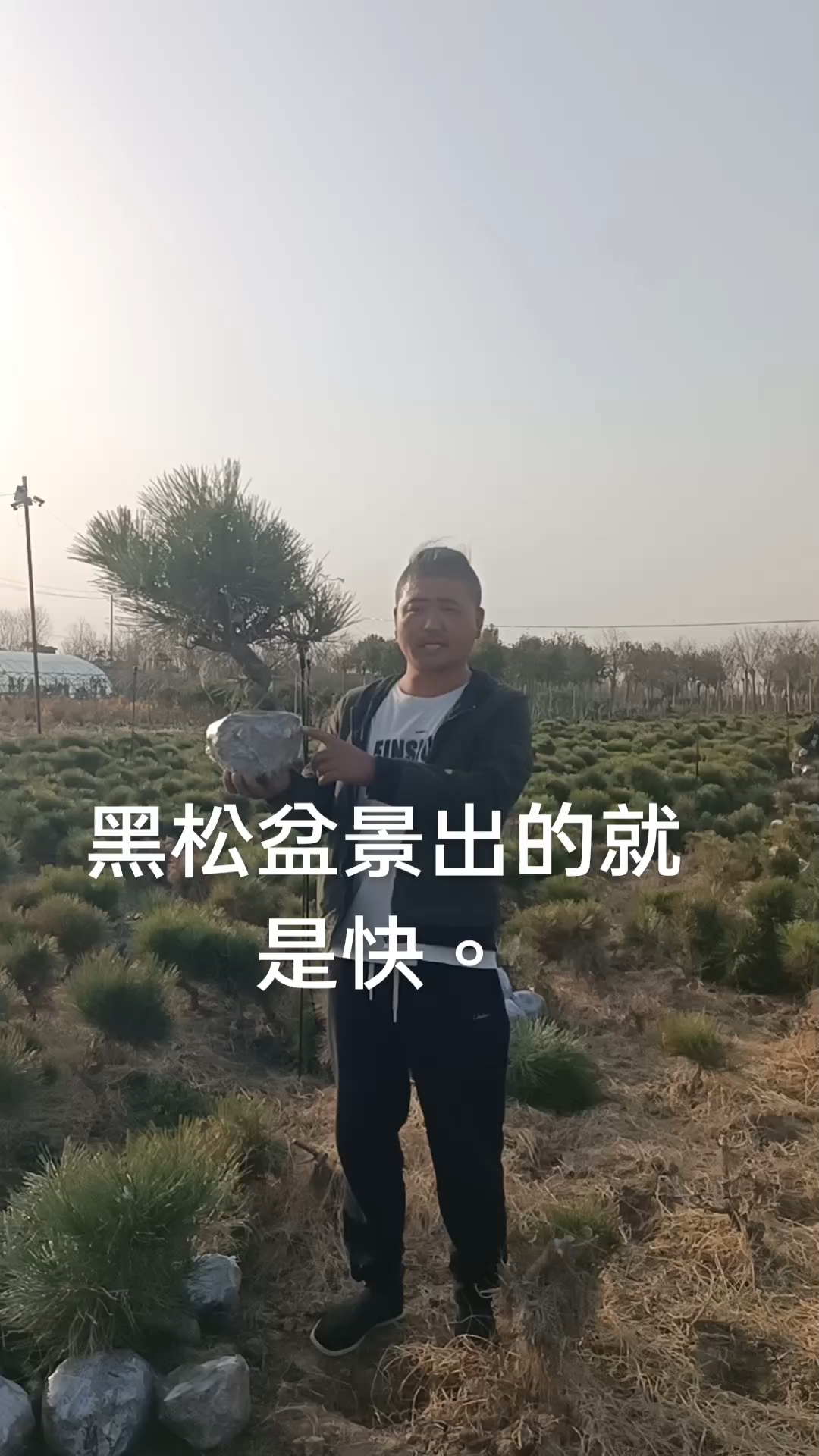 农村靠什么发家致富(农村靠什么发家致富呢)
