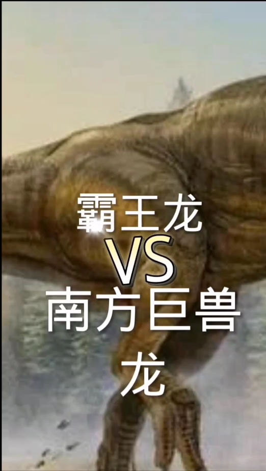 论战,南巨vs霸王龙