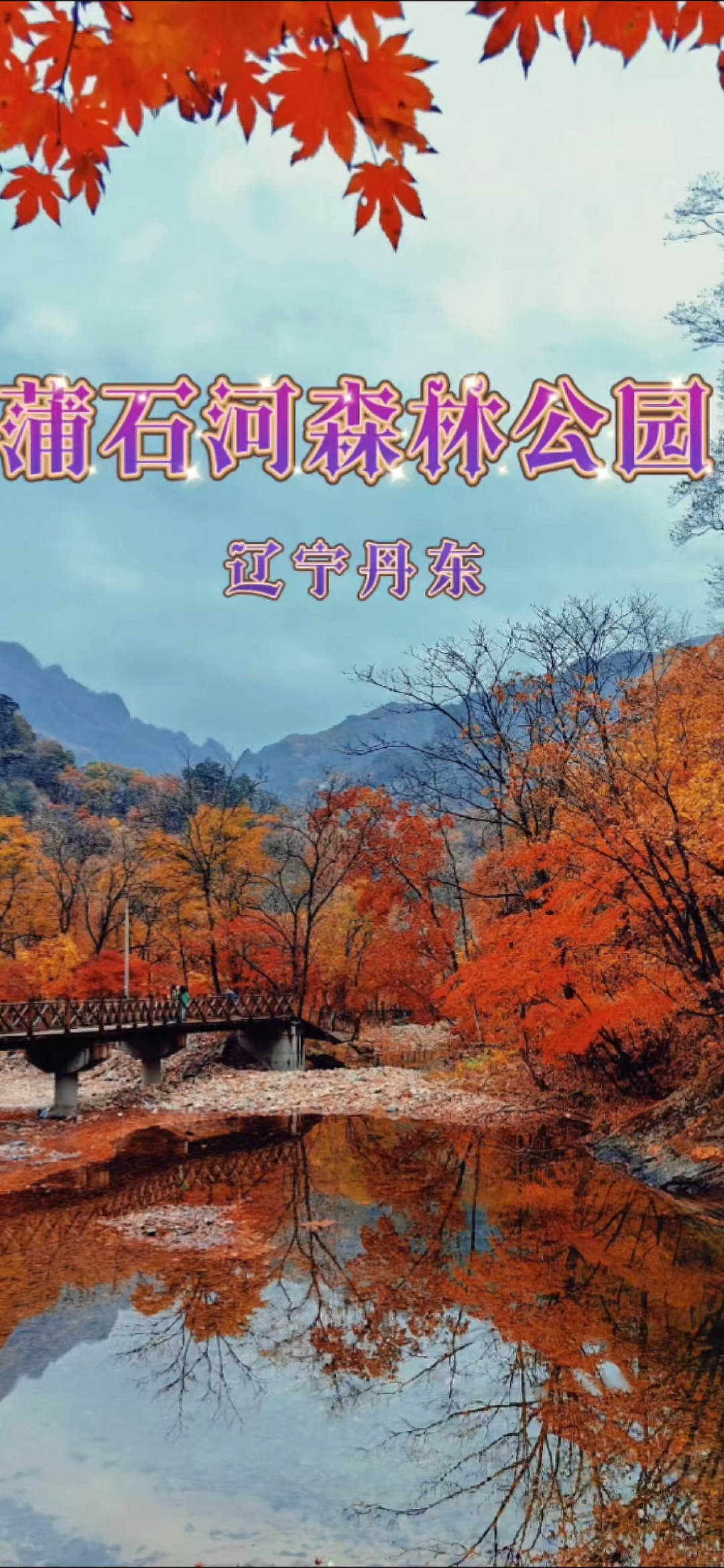 蒲石河森林公园门票图片