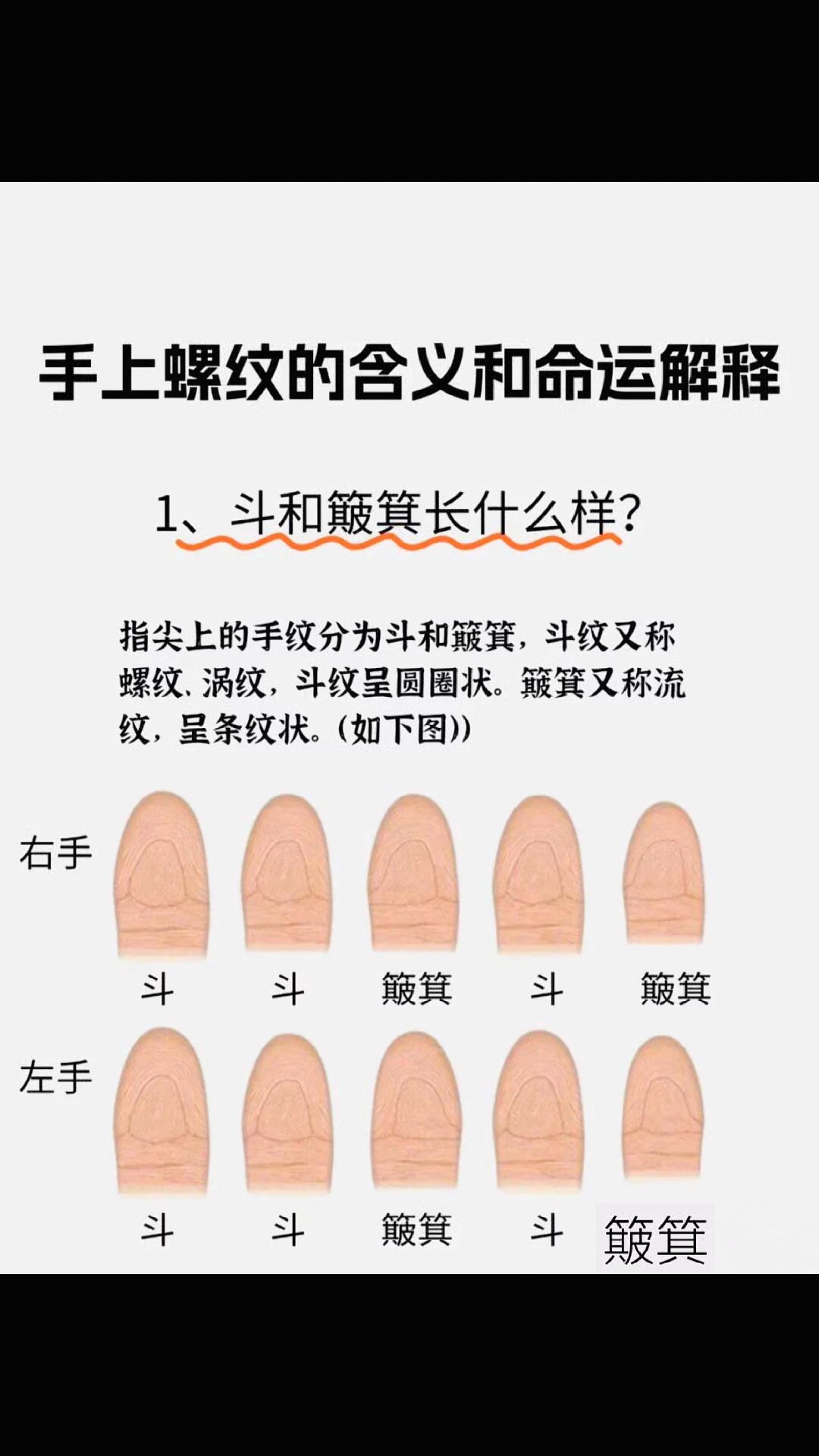 手上螺纹的含义和命运解释!