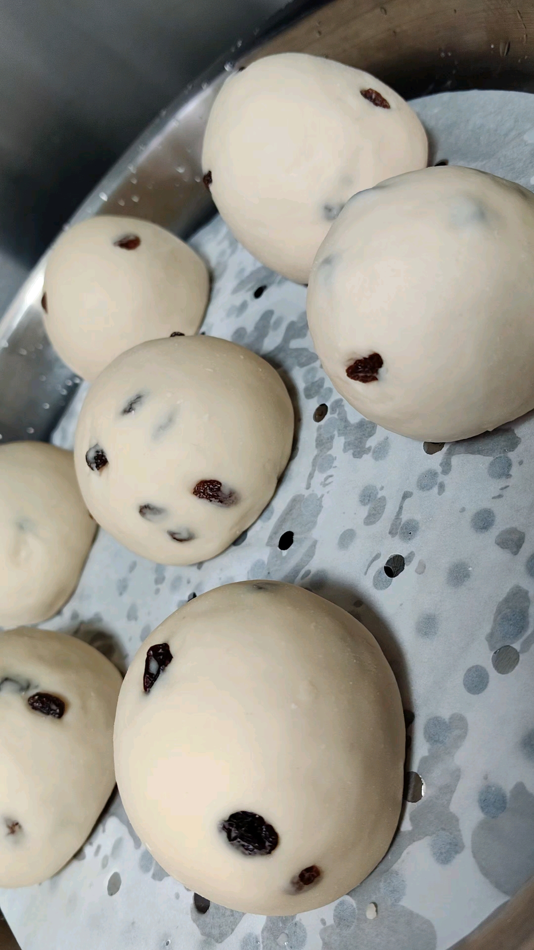 新年首次制作葡萄干馒头,白白胖胖超诱人