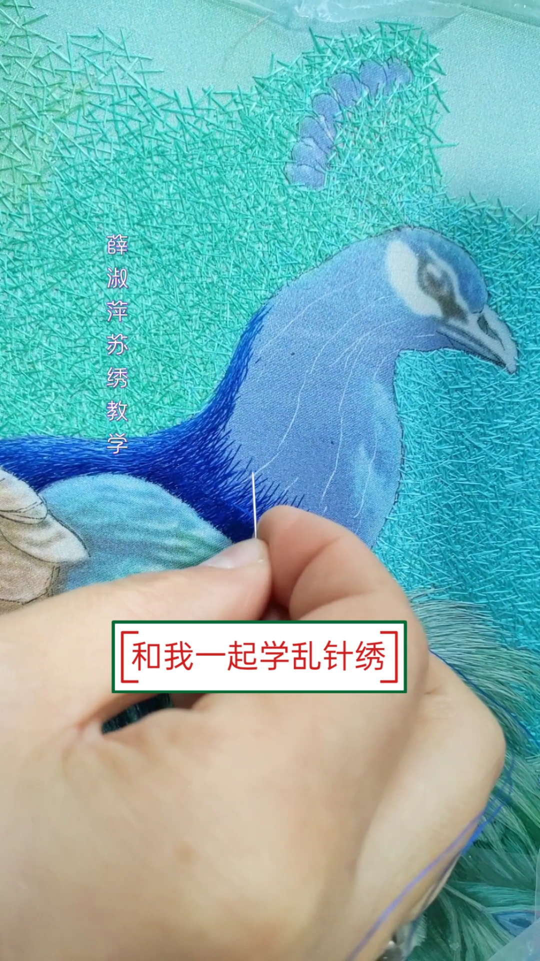 和我一起学苏绣中的乱针绣孔雀吧!