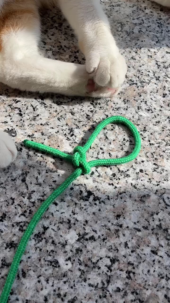 吊脚套.野外生存必会!