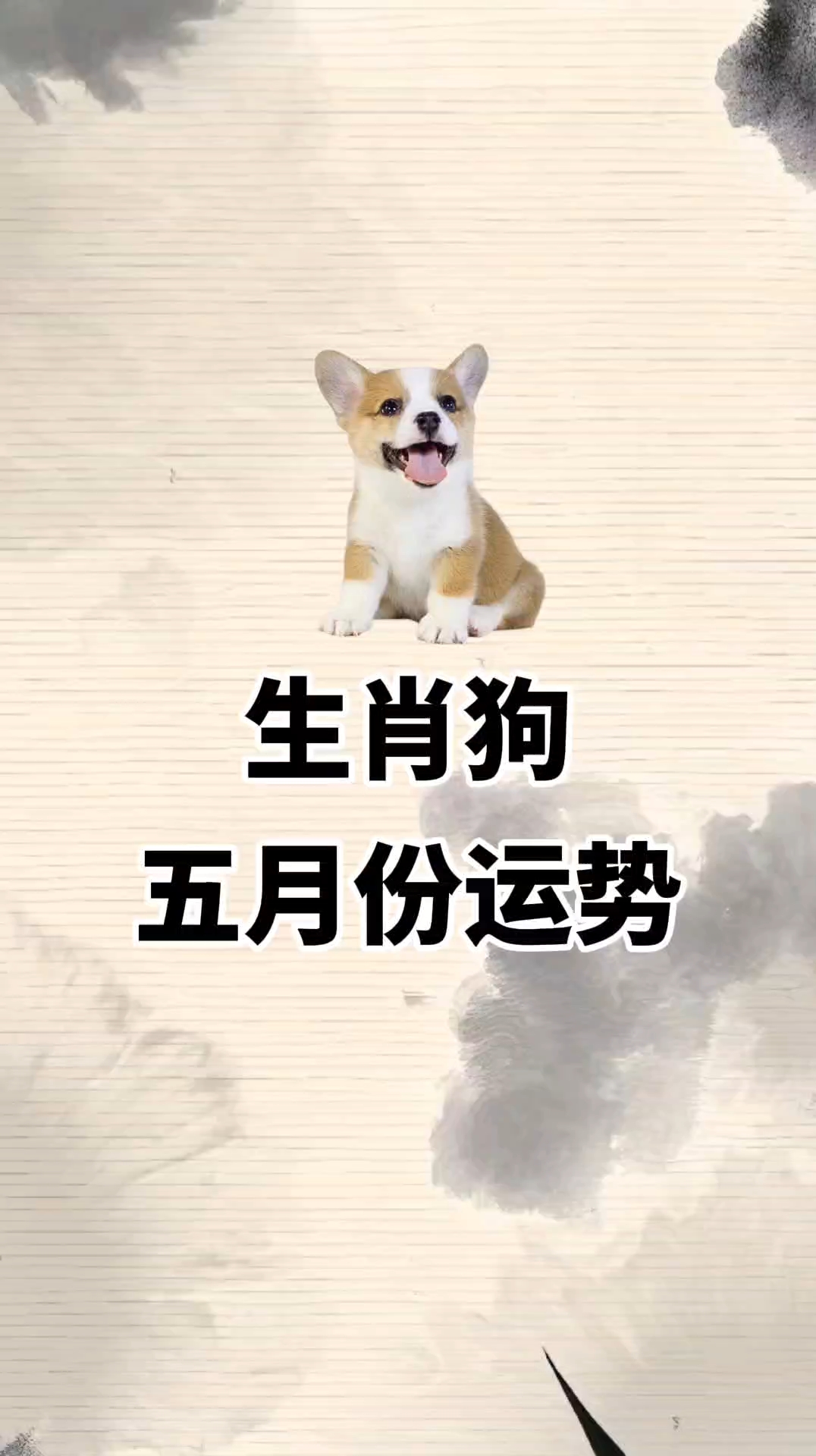生肖狗丙午月运势怎么样(狗丙戌是什么年份)