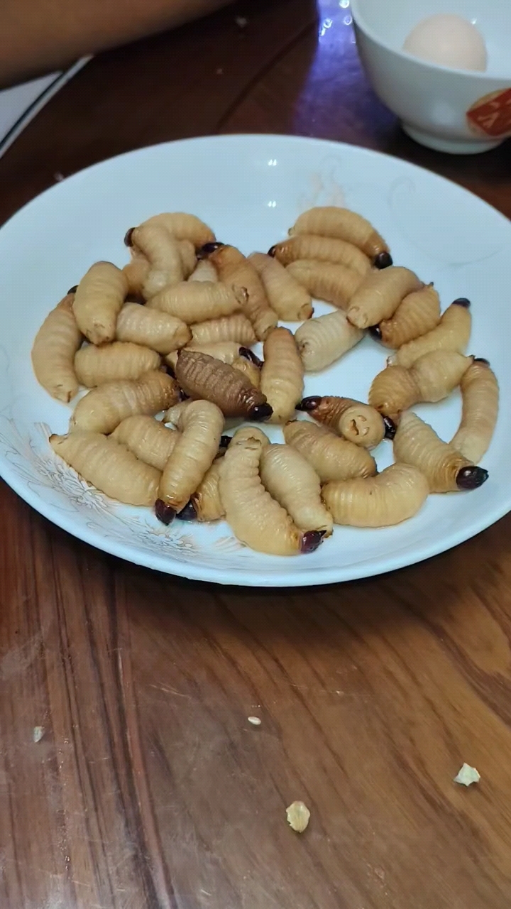 野生竹虫