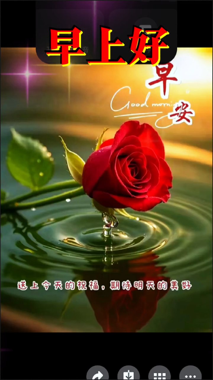 微信问候暖人心,思念永存,祝大家早上好,开心每一天