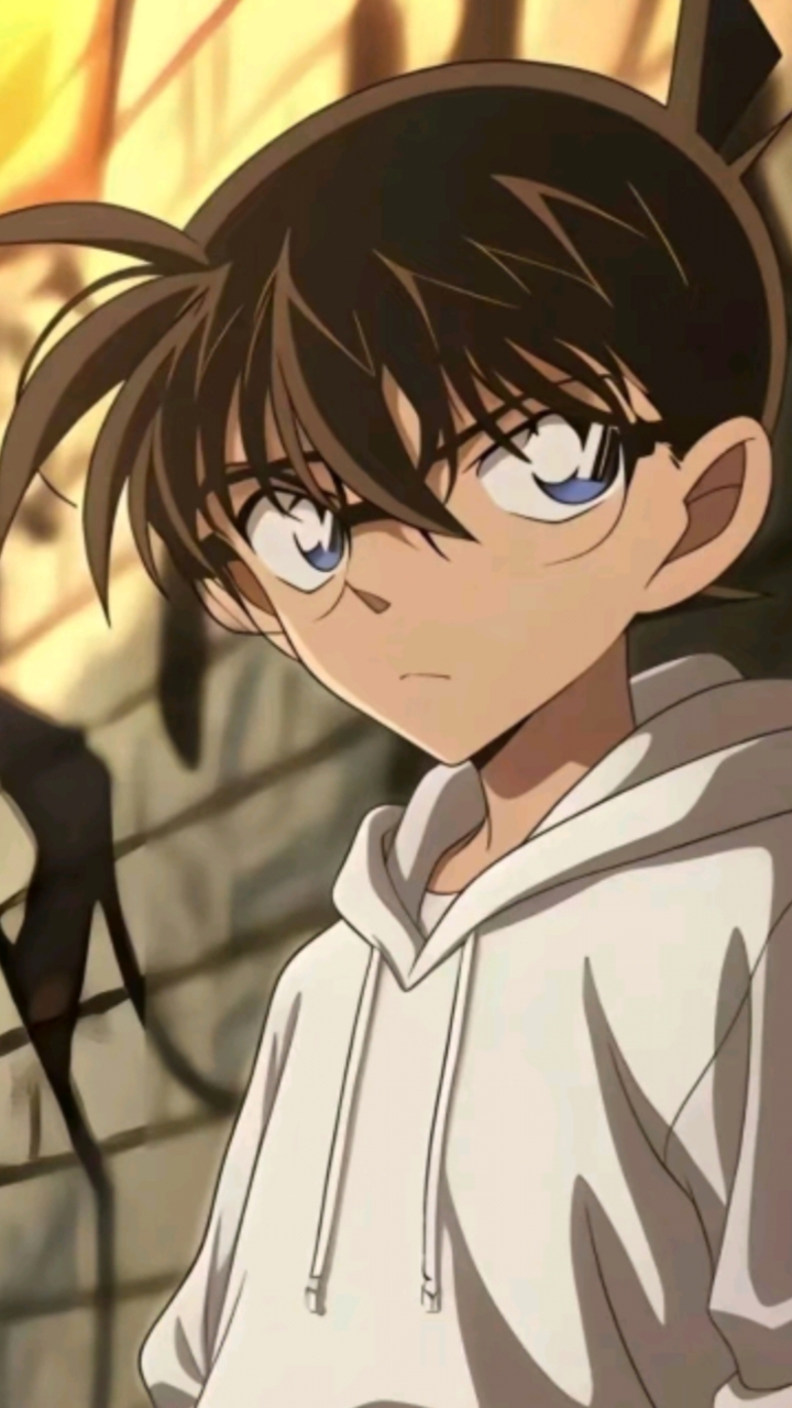 柯南精彩图片剪辑