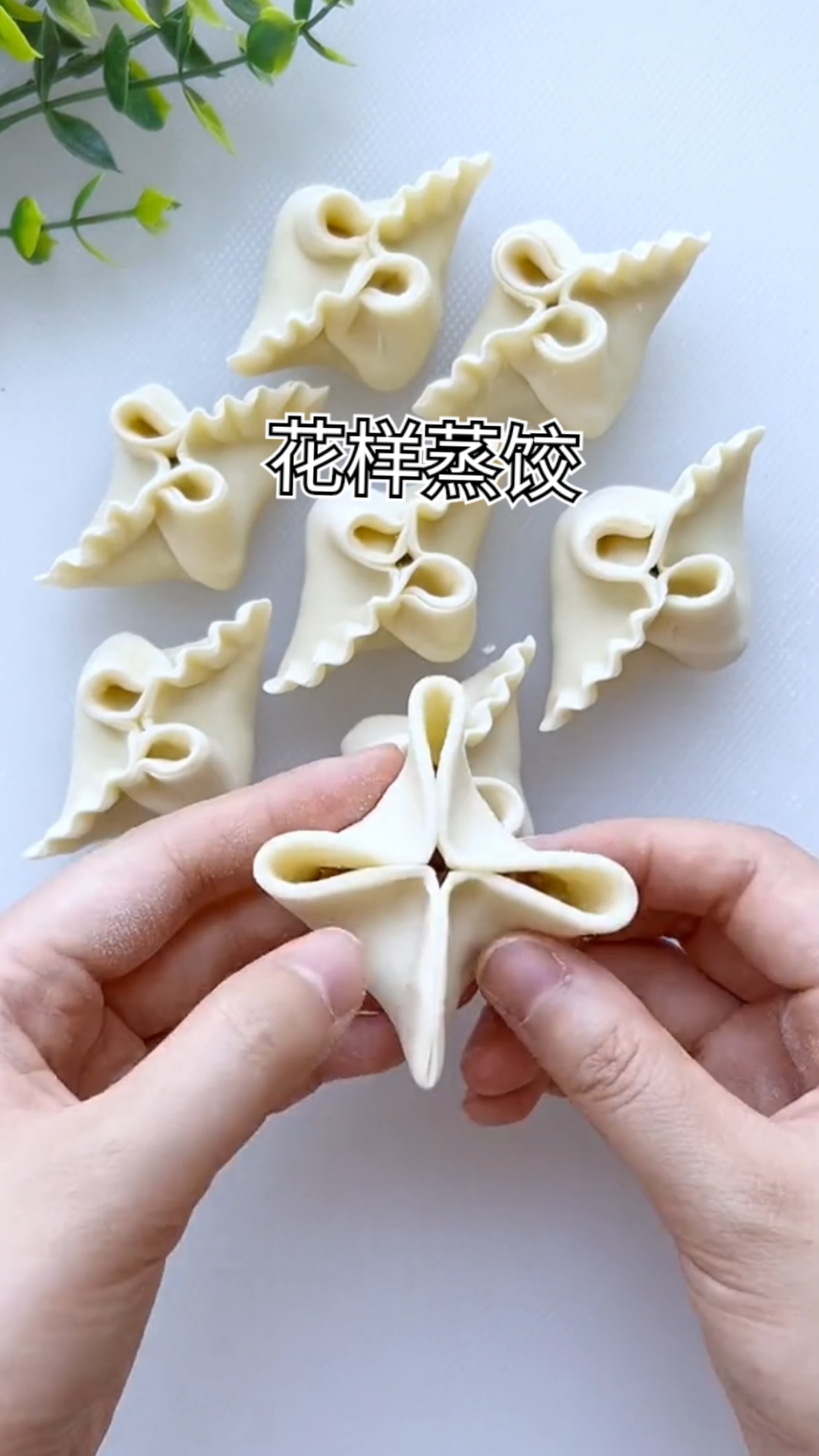 图片[3]-L47285 商用蒸饺教程｜馅料黄金配比 手把手教学包教包会-简创库网