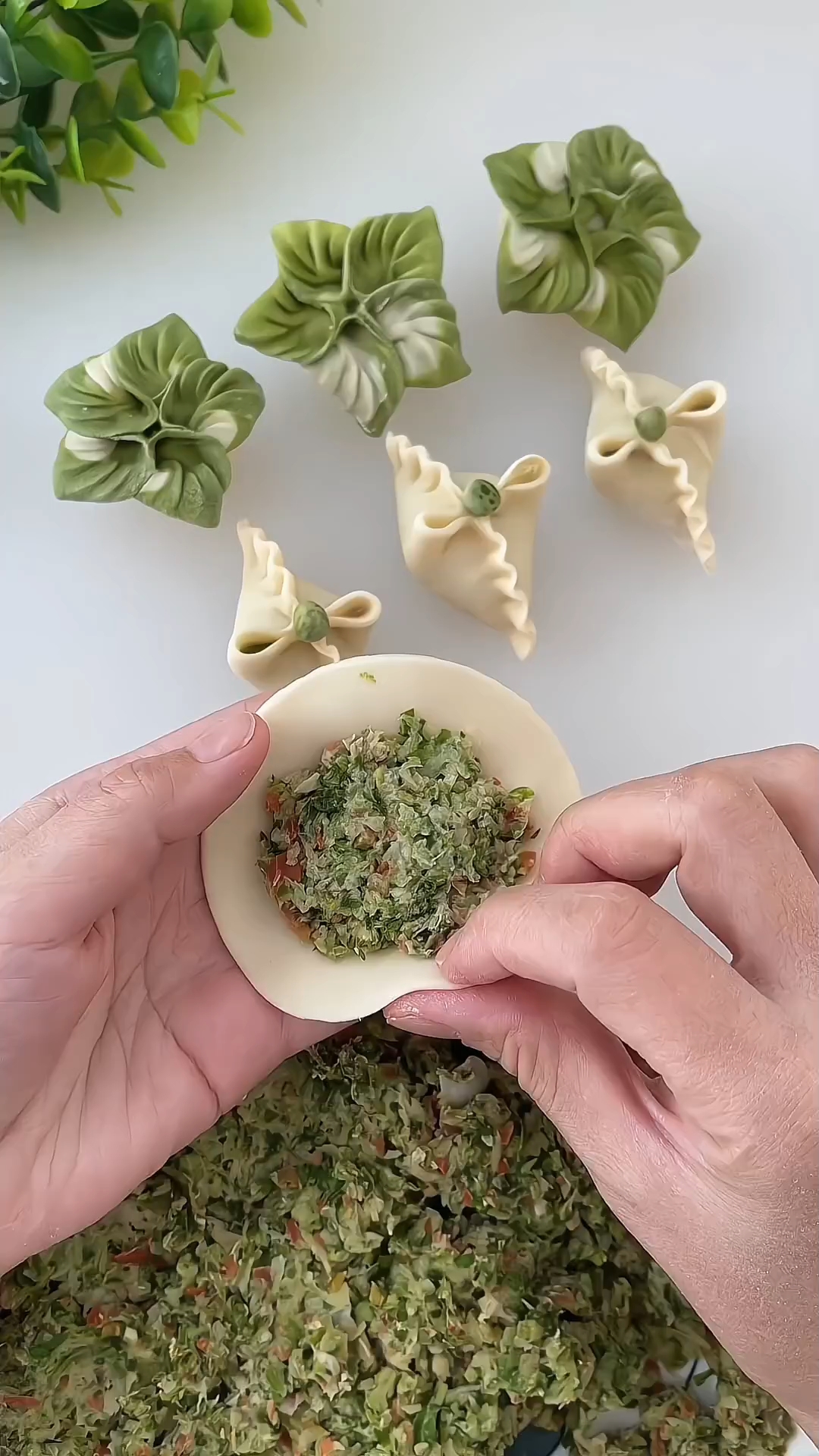 漂亮的月牙素饺子包法来了,简单易学,你学会了吗?#月牙素饺子