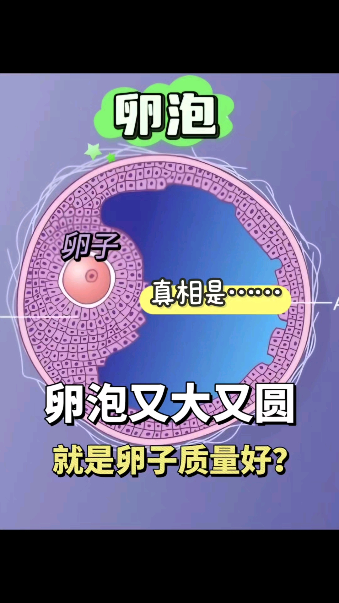 卵子 第272页