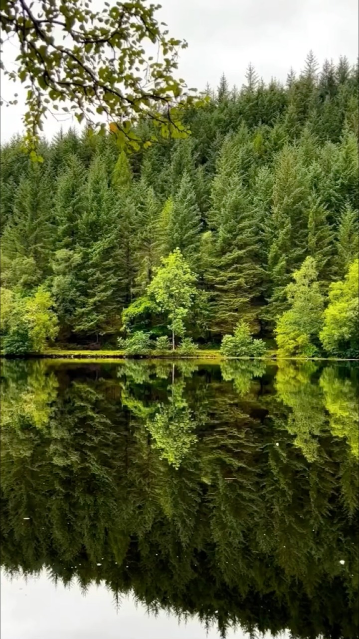 所遇的景不同,心情就不同,这就是所谓的触景生情吧!