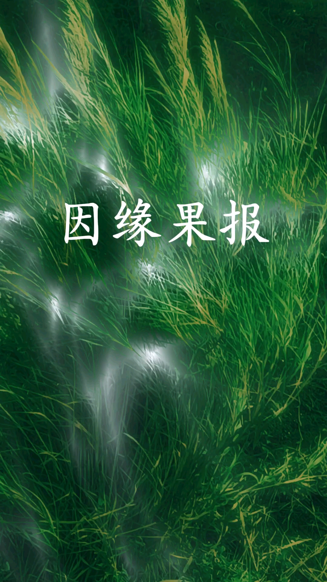 种善因,结善缘,得善果!