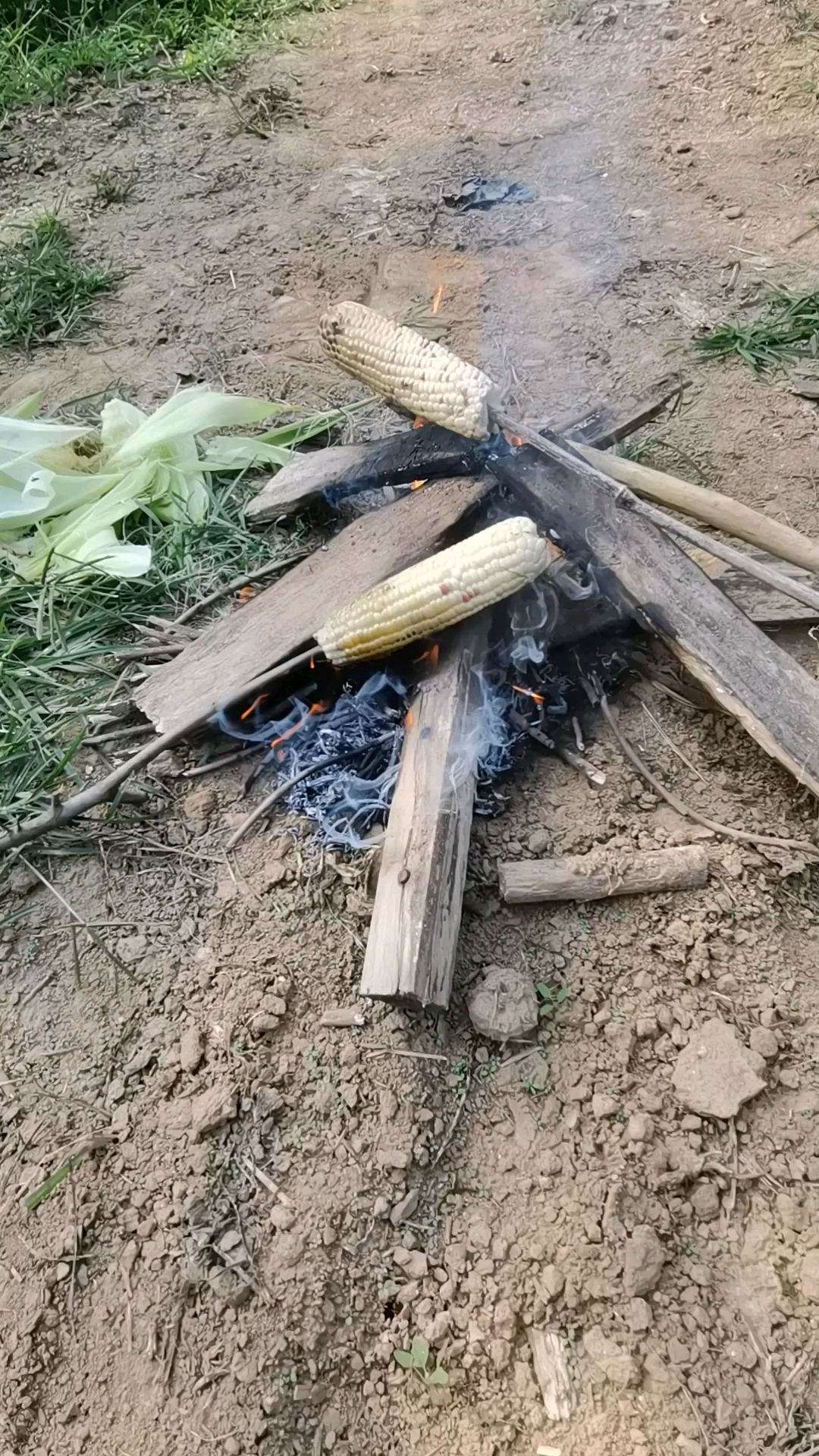 朋友们还记得这样烤玉米吃嘛?