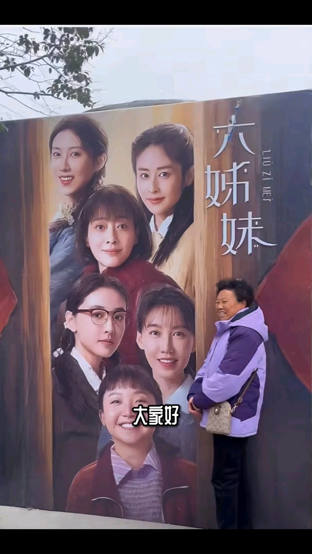 刘姊妹演员表名单