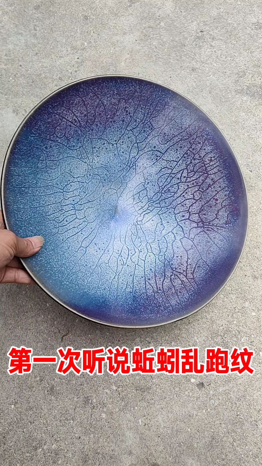 第一次听说蚯蚓乱跑纹