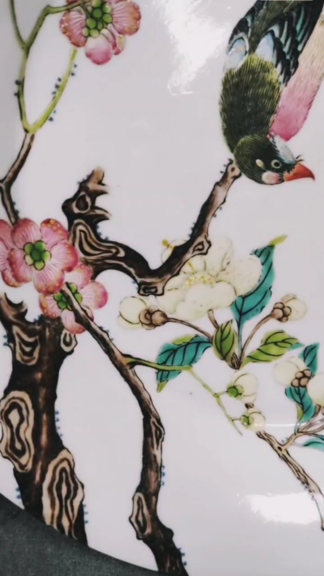 雍正官窑粉彩杰出品种花鸟纹盘高清彩绘细节直观
