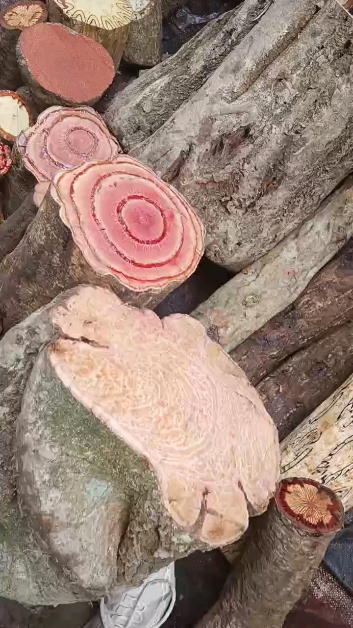 百年鸡血藤,血塞通,过奖龙,扁担藤,朱砂莲,大血藤