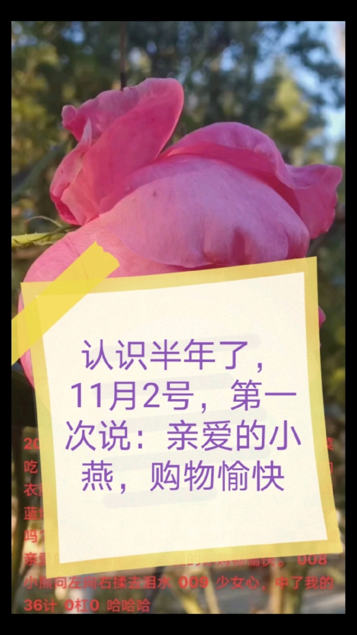 认识半年了,11月2号,第一次说:亲爱的小燕,购物愉快