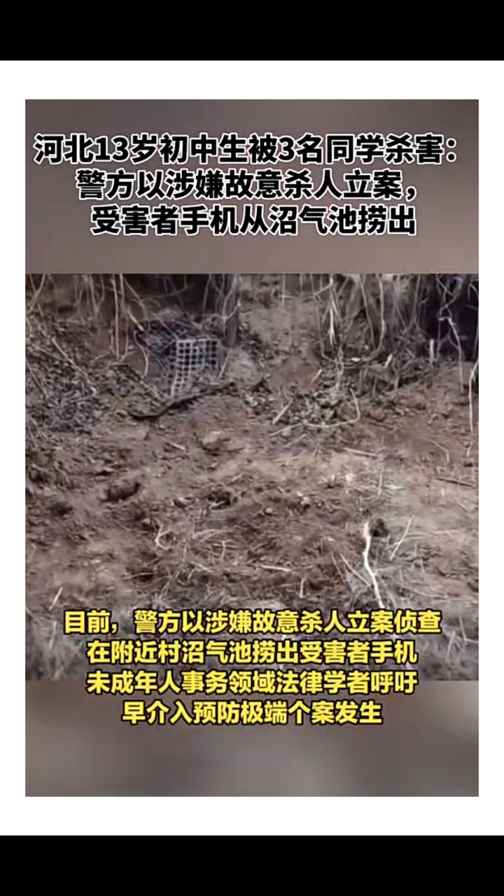 埋尸案:未成年人保护法保护的不是恶魔!地狱空荡荡,恶魔在人间