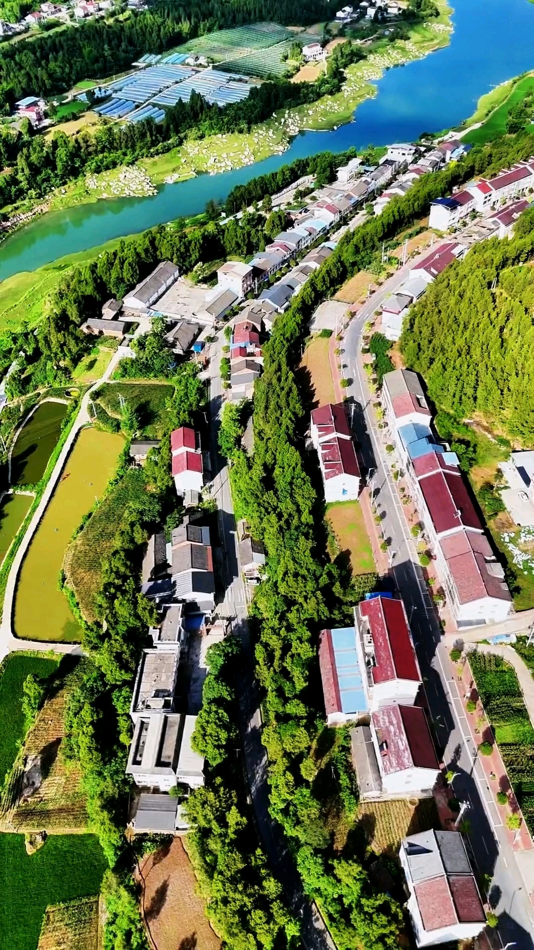 山清水秀张家村(原张家乡政府驻地),这里是广元太公镇