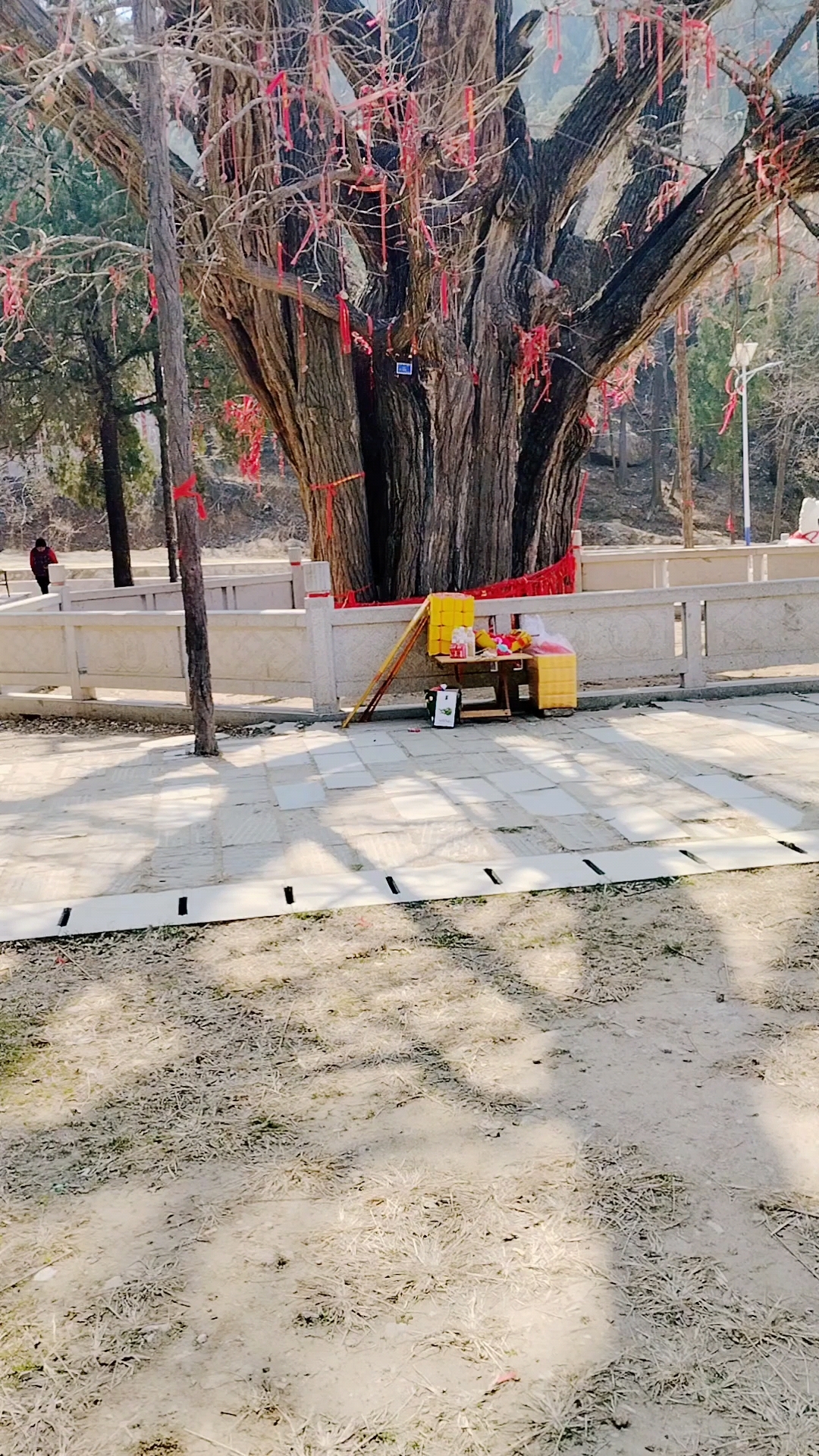 新太市石莱白马寺壮观美景!
