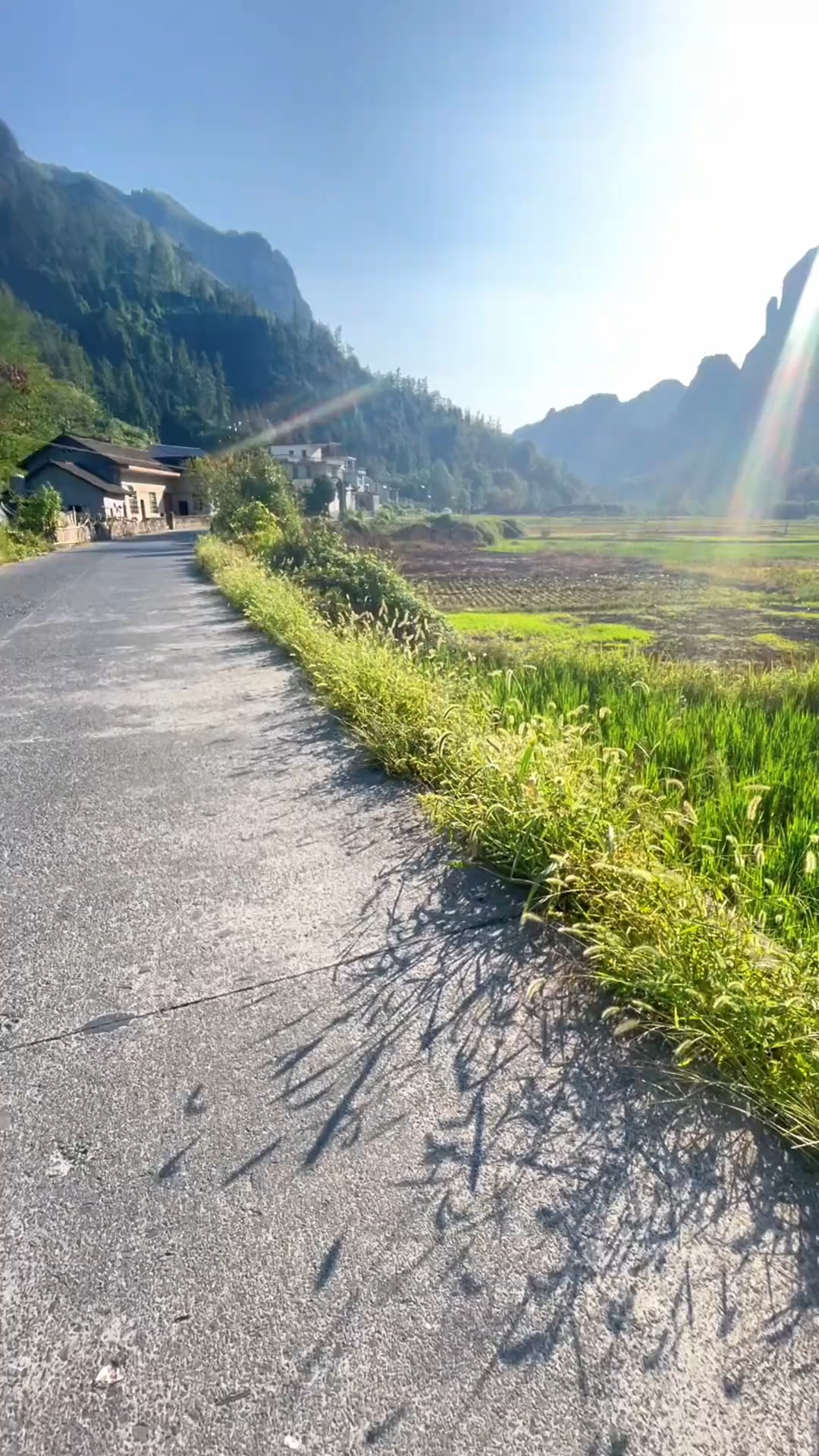 心晴天气预报