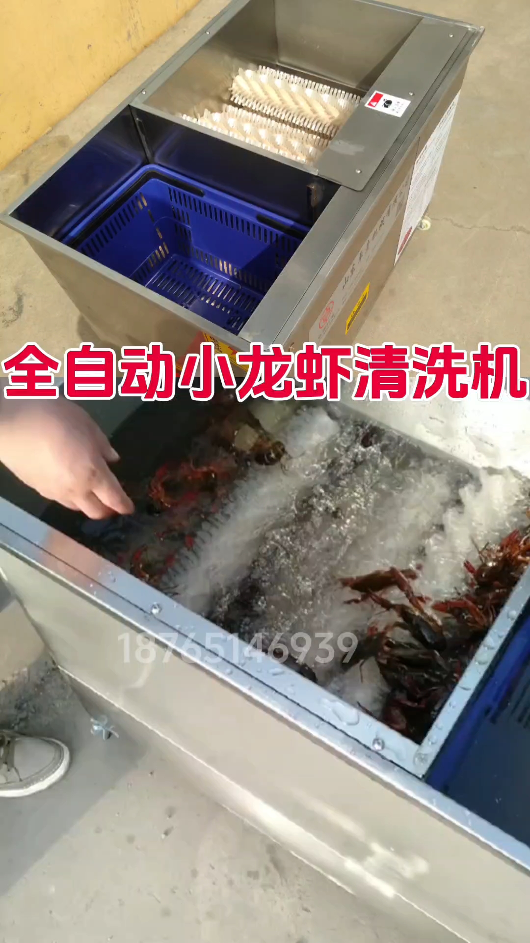 小龙虾清洗机