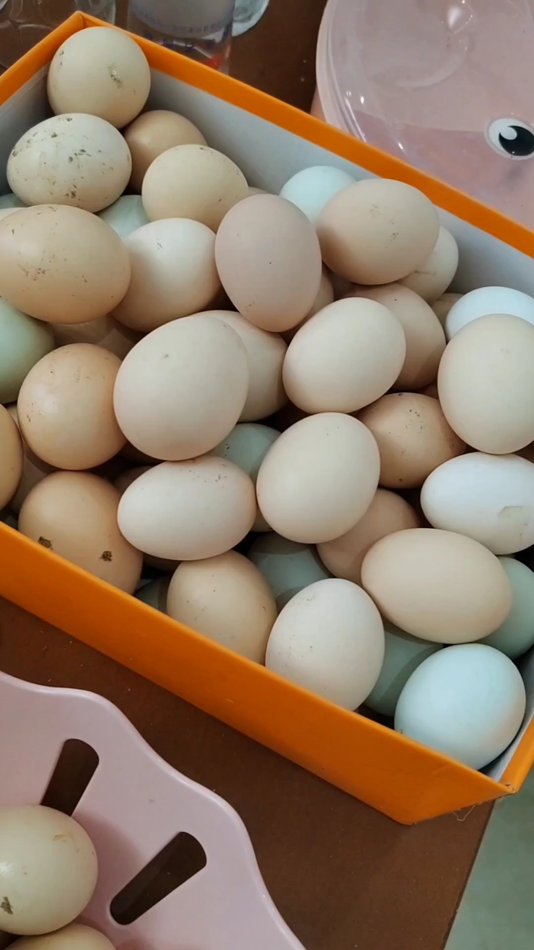 自己在家养的鸡,鸭,鹅,下的蛋大丰收了