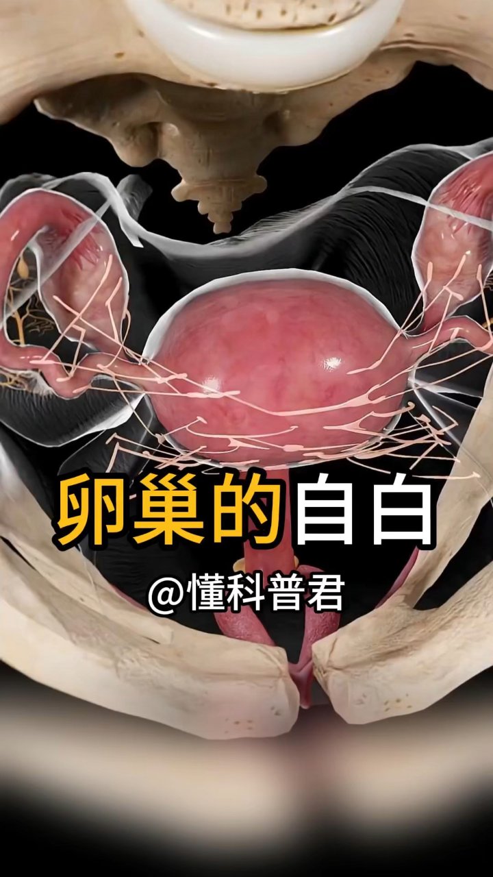 卵巢是身体里的生命之源