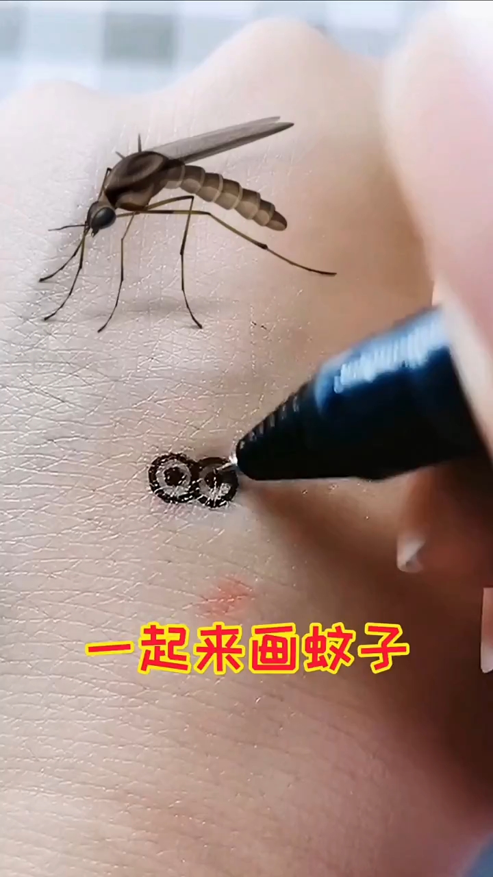 一看就会的蚊子简笔画