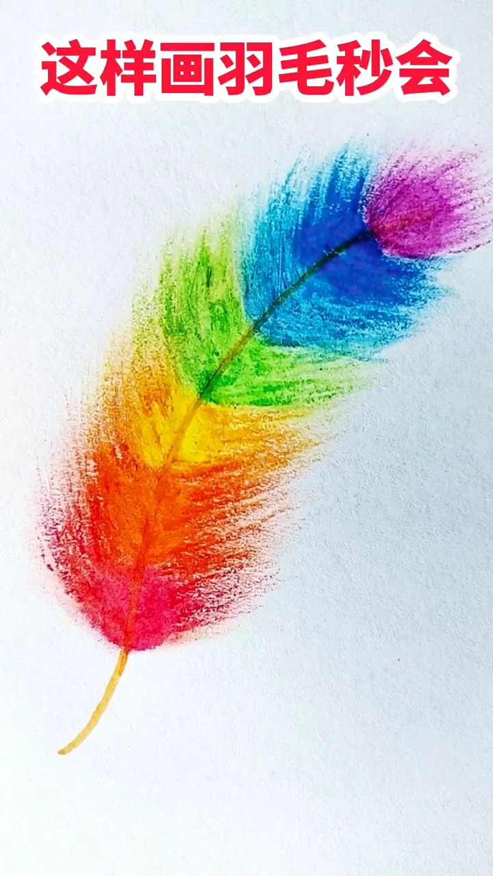 一起画彩色羽毛