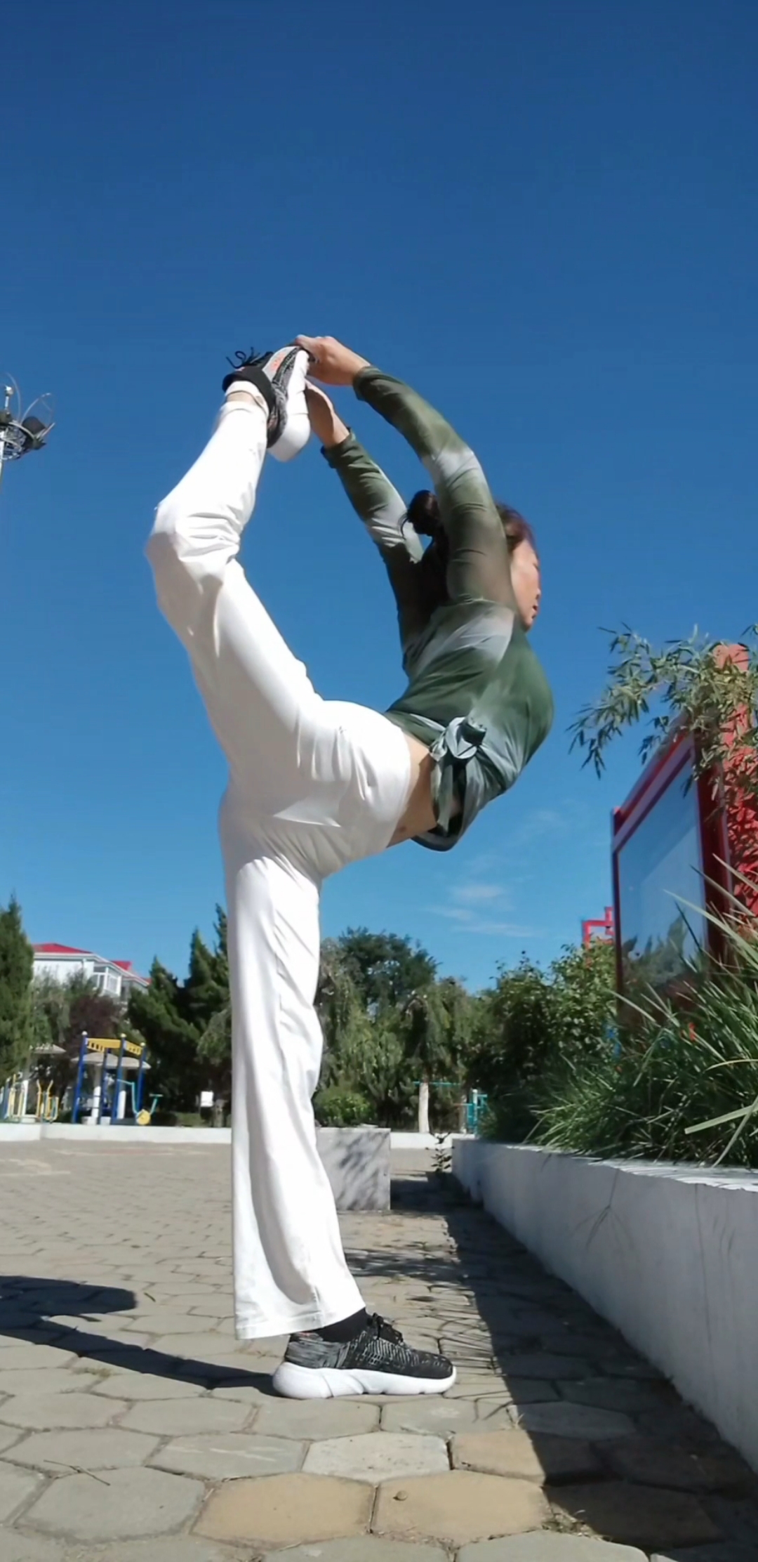 瑜伽动作舞王式