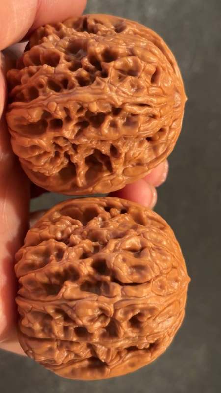 59克 44蓟县老树门墩狮子头 打底上色-度小视