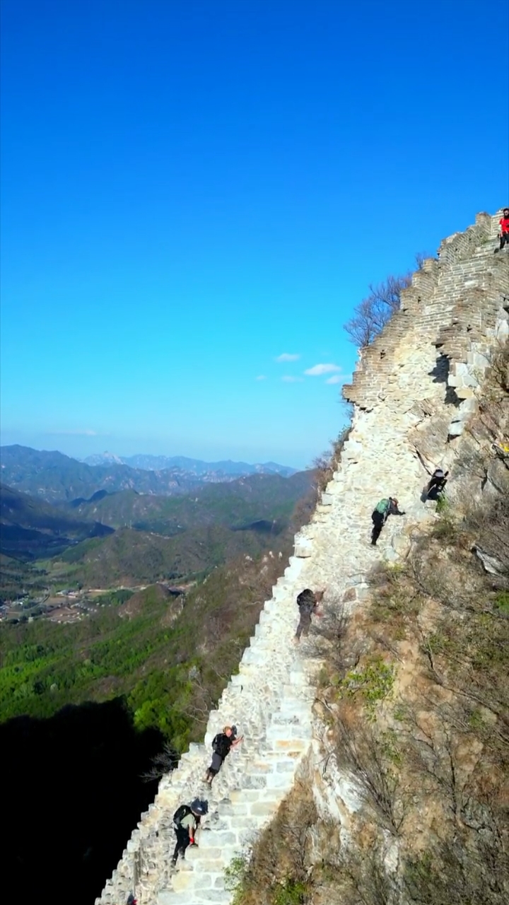 鹰飞倒仰图片图片