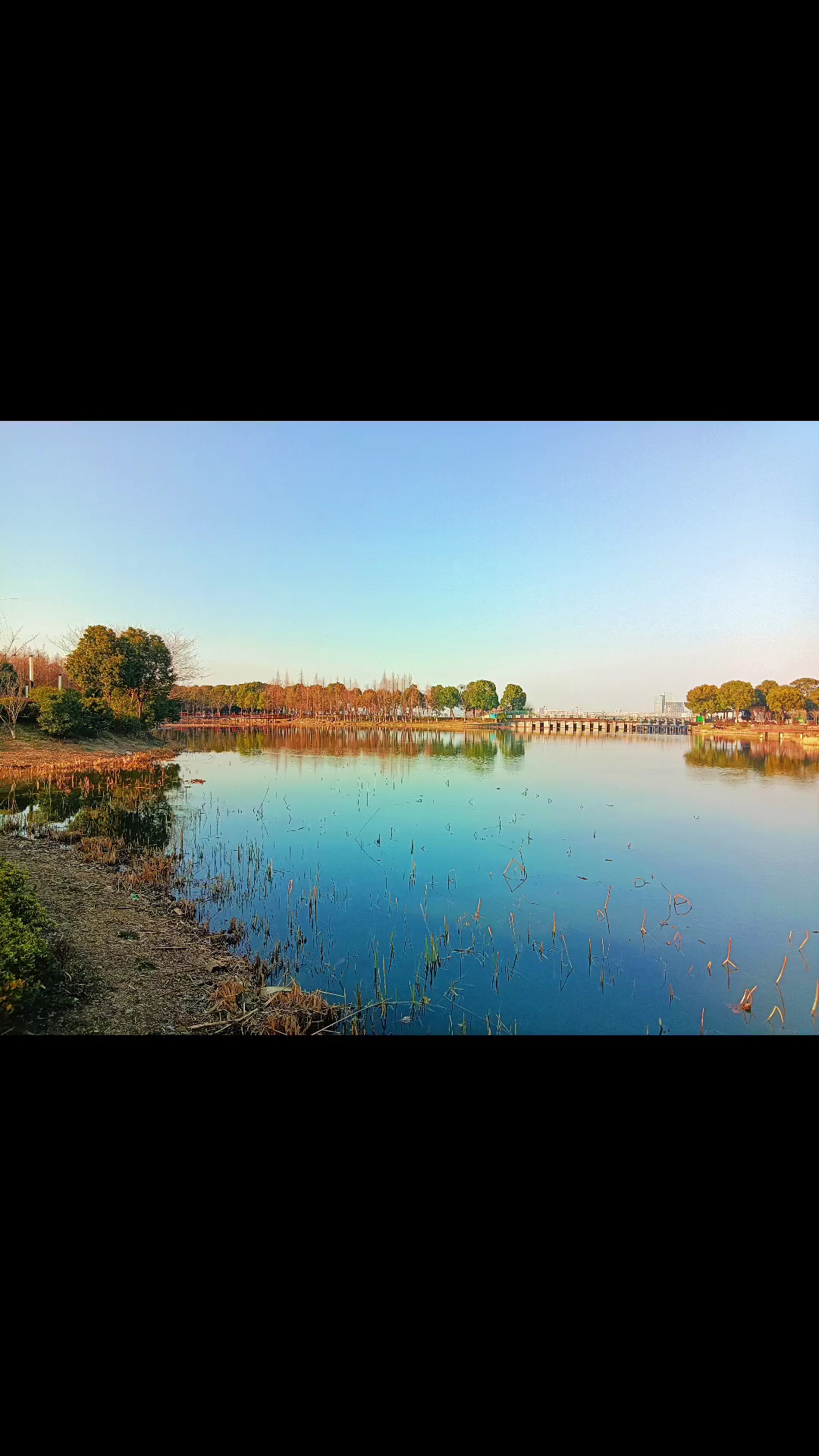 苏州独墅湖风光图片