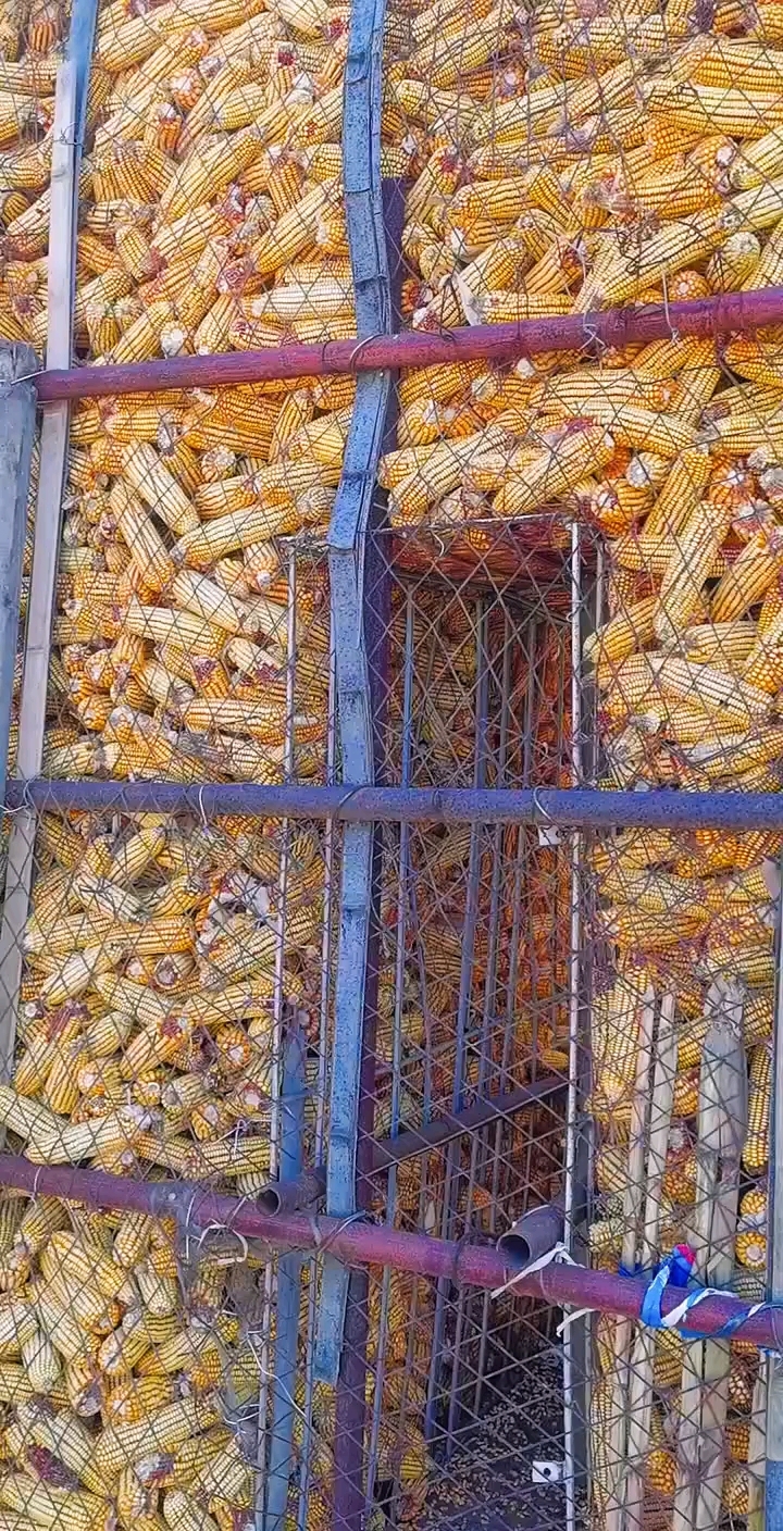 就看这苞米楼子就知道是农村正经过日子的人家