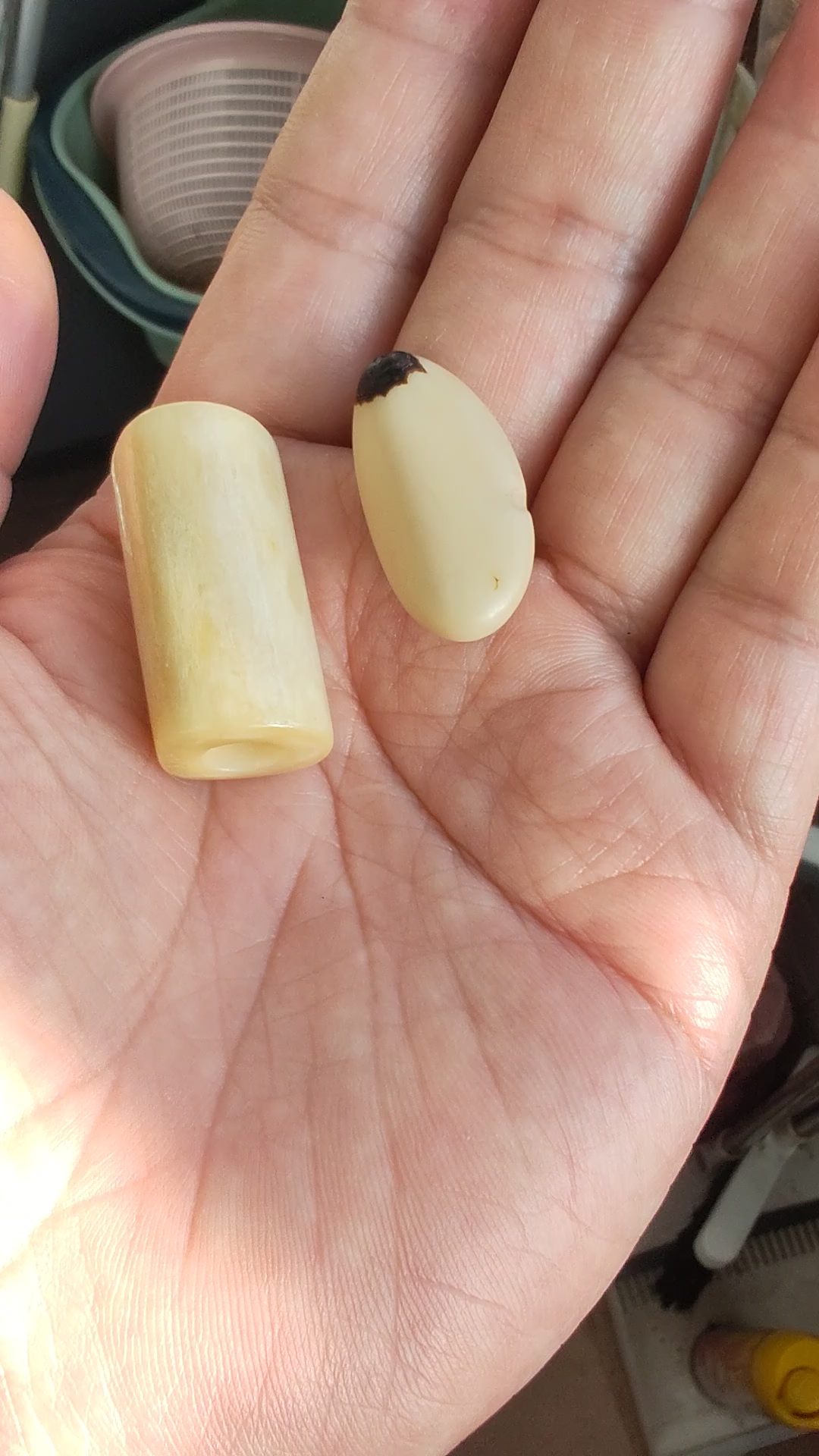 白玉菩提