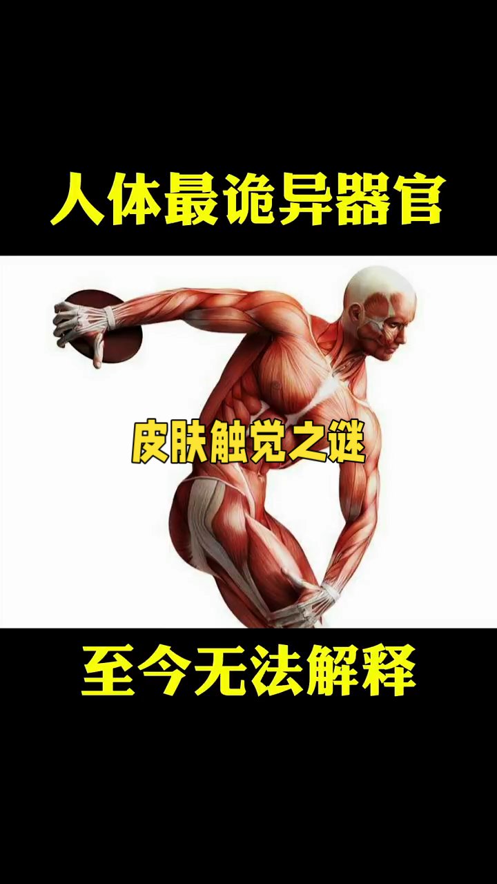 人体最诡异的器官人类无法解释