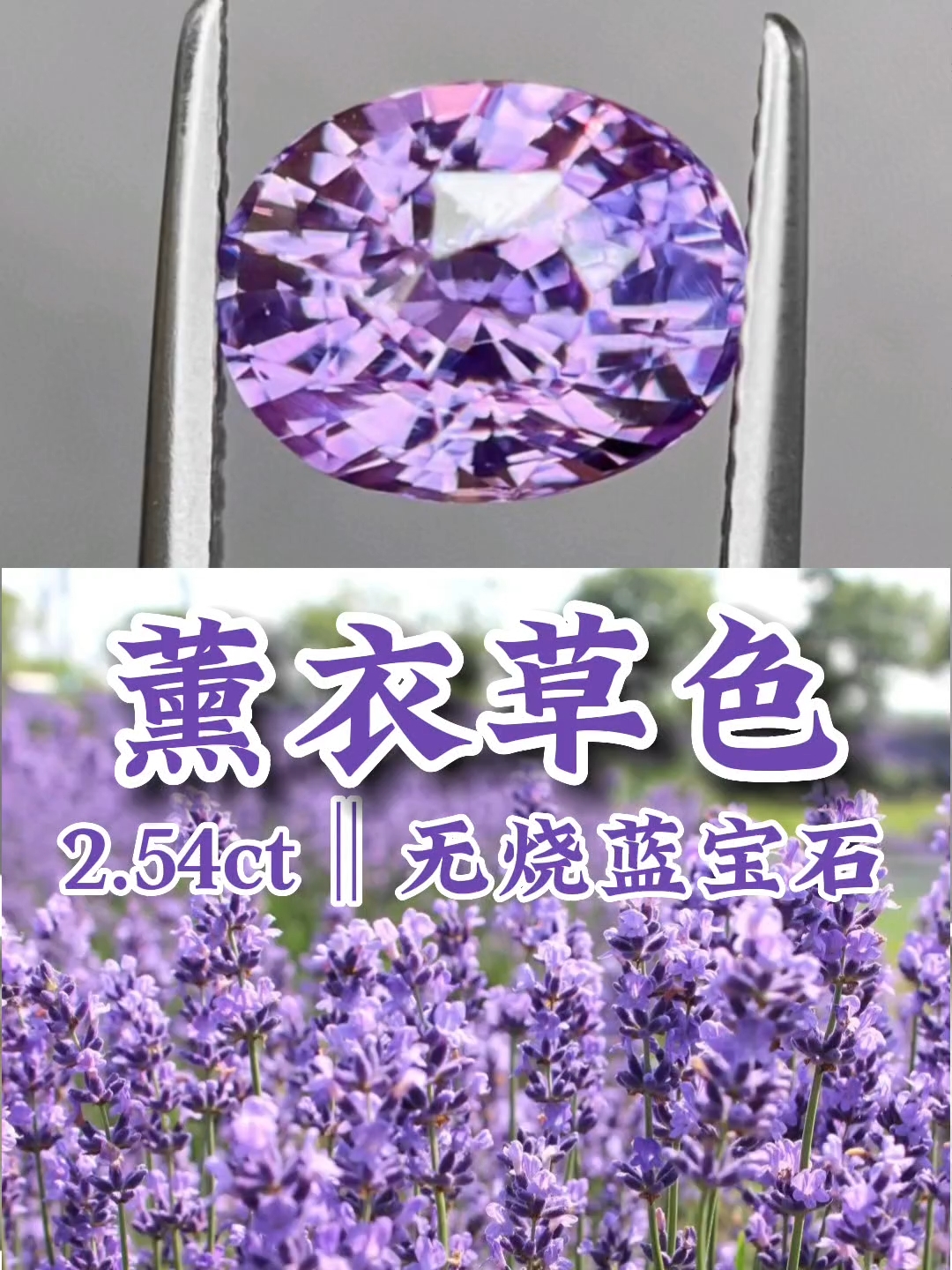 品名:薰衣草蓝宝石裸石石重:2.54ctn形状:椭圆
