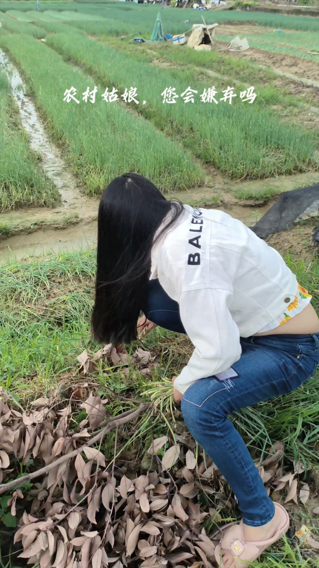 农村姑娘