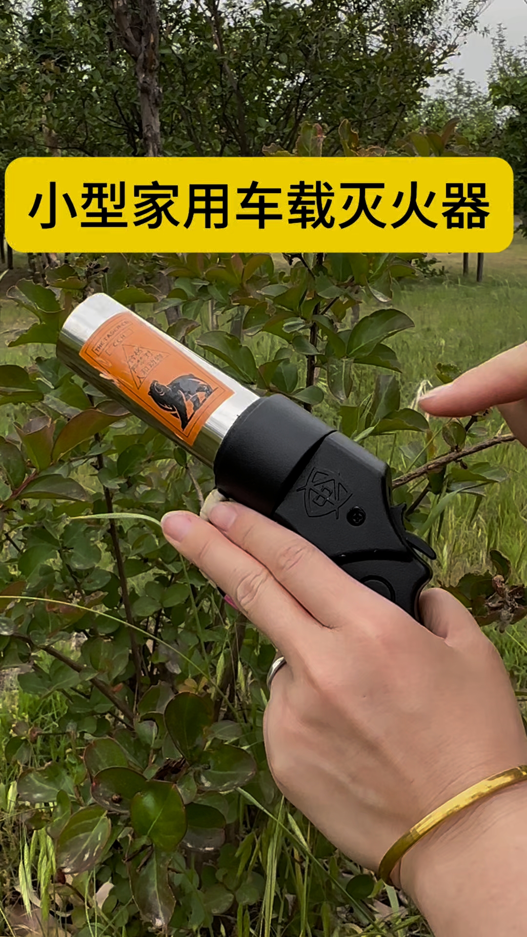 小型车载灭火器