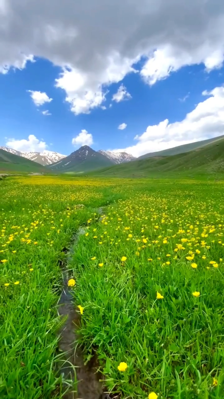 蓝天白云青山竖屏图片