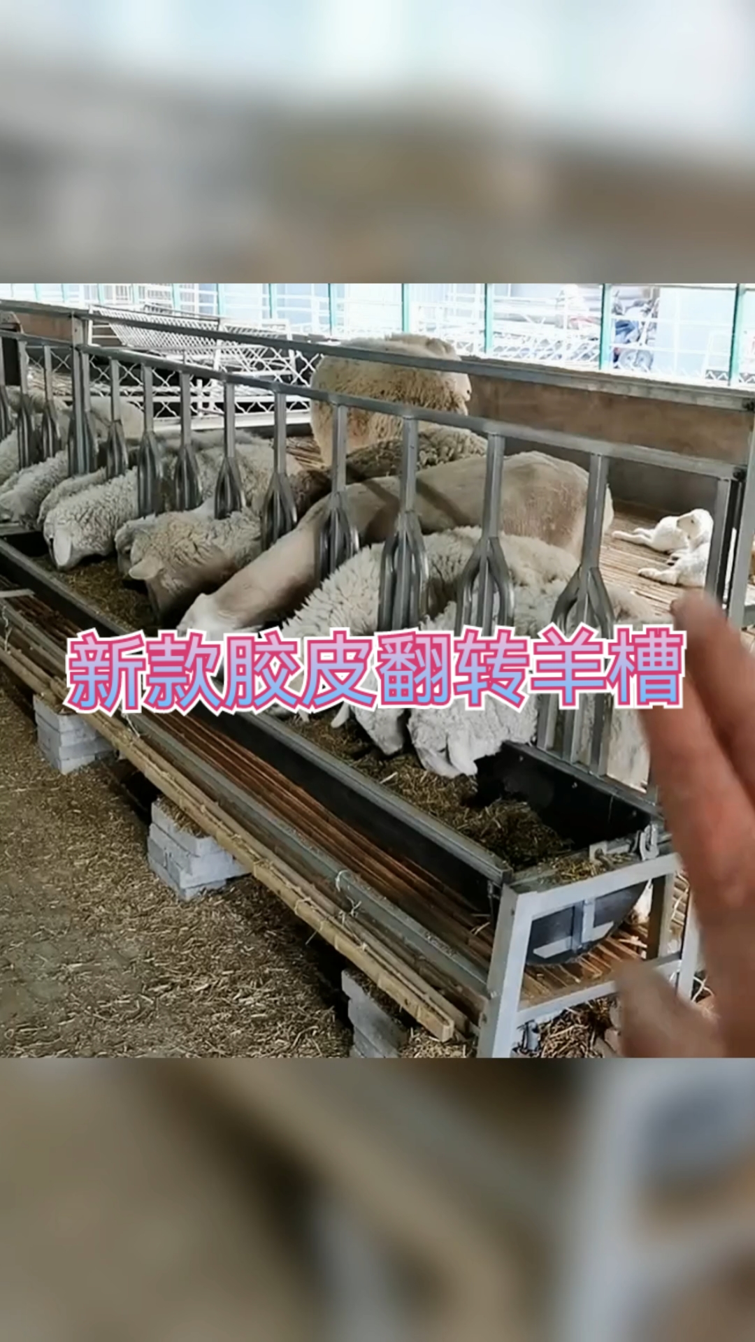 选羊槽就选翻转胶皮羊槽