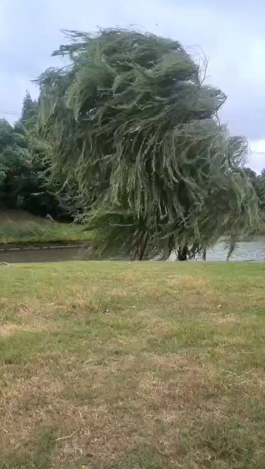 一个人在风中凌乱