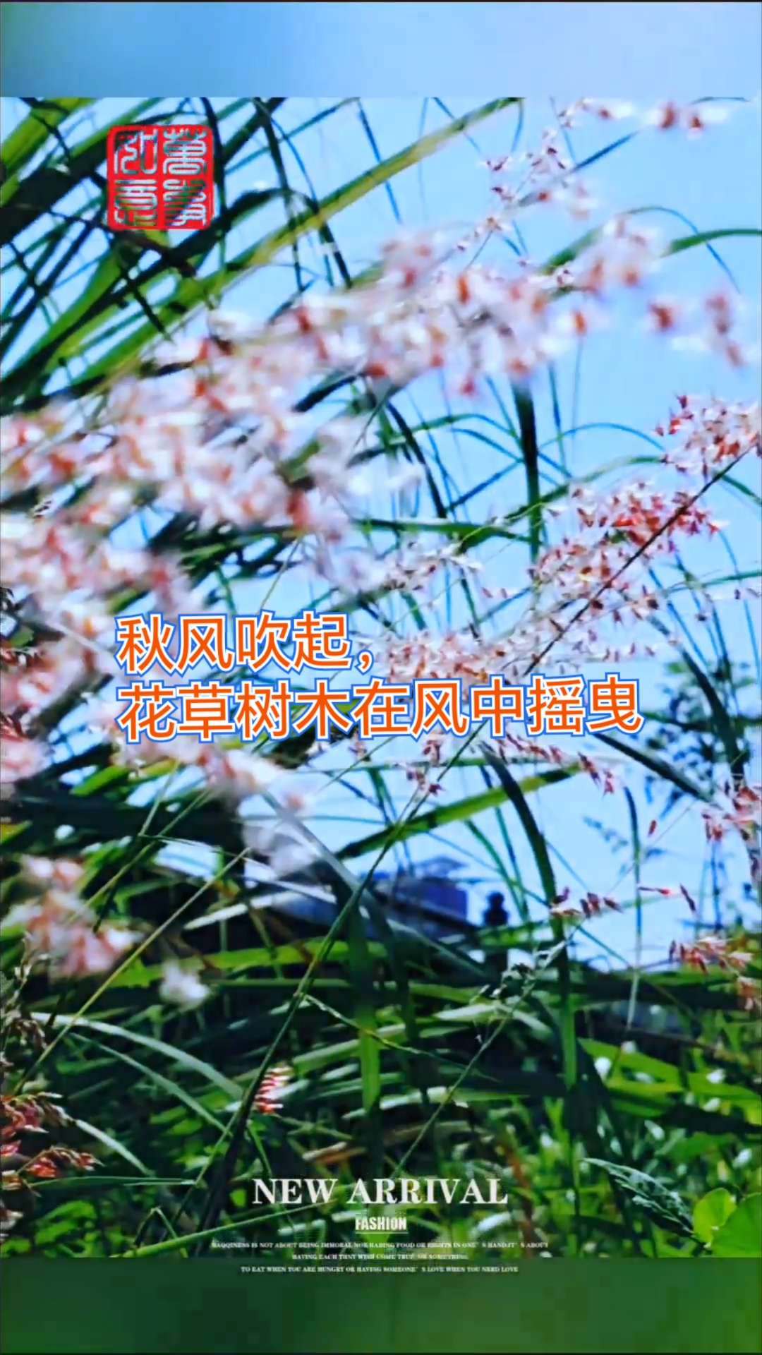 秋风吹起,花草树木在风中摇曳
