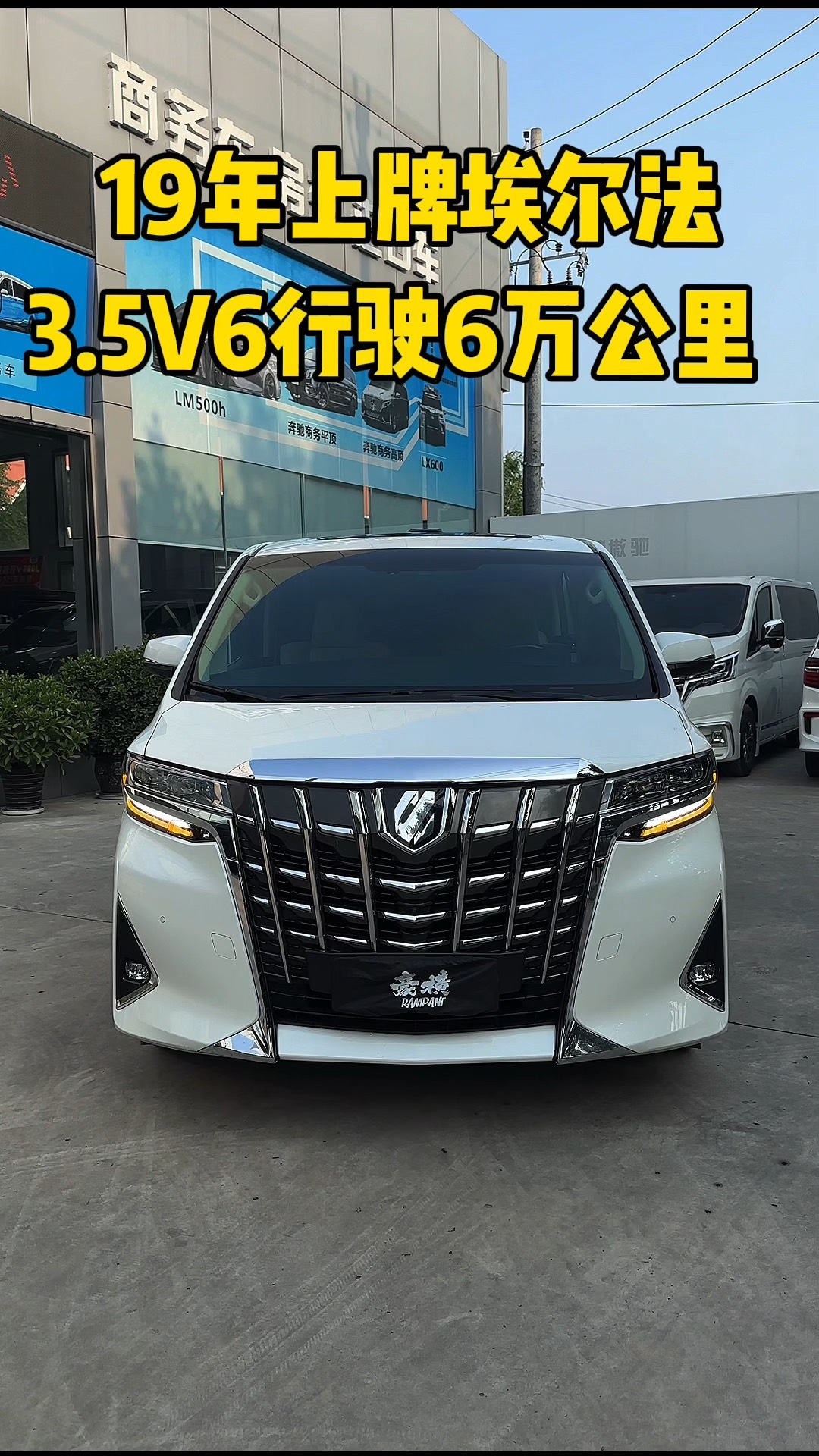 丰田埃尔法v6报价图片