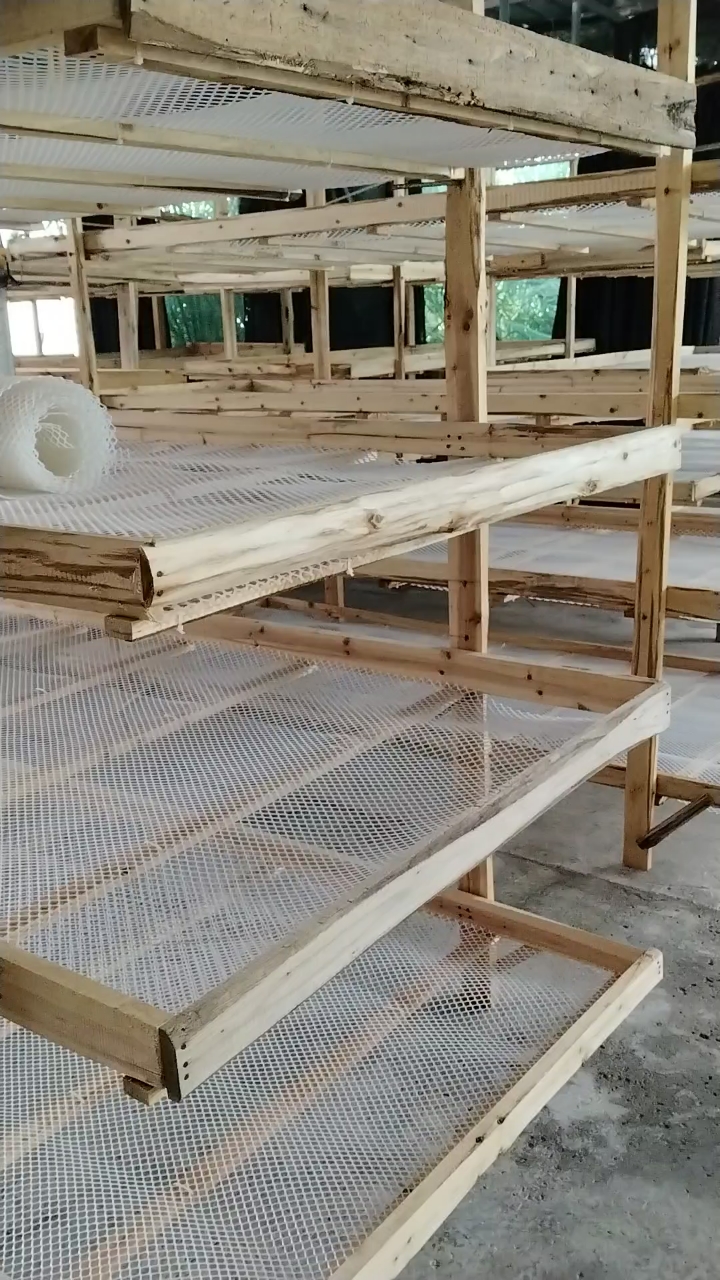 养个蚕,干不完的活